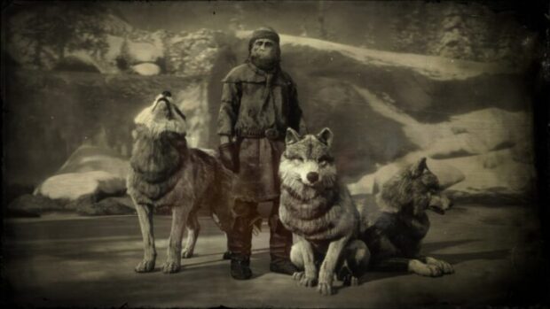 Red Dead Redemption 2 Online - Der Wolf ist der beste Freund des Menschen