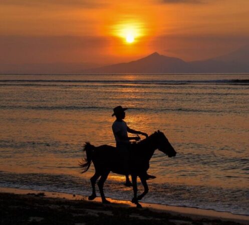 Goldenes Pferd Horse Strand Meer Wasser See Reiten Sonnenuntergang
